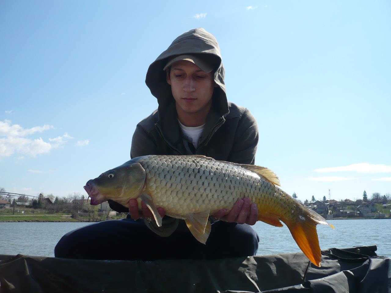 MV2 - 20.MAR.2014 - p1020229.JPG